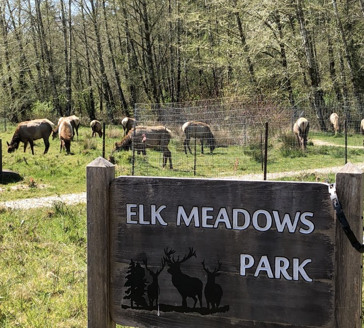 Elk Meadows Park (Nehalem,&nbspOR)